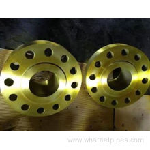 Shipbuilding,etc exhaust Pipe Flange